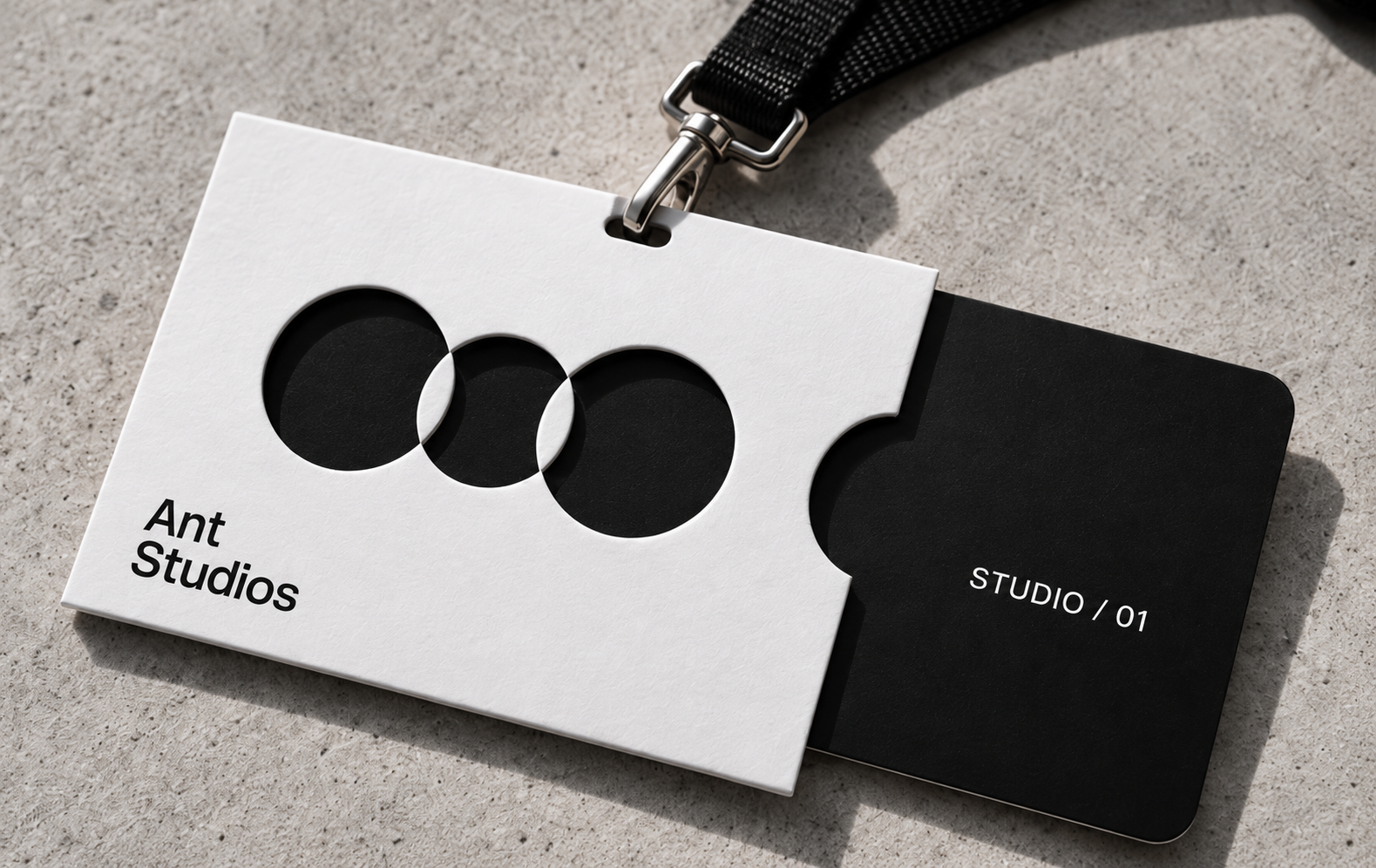 Ant Studios project cover